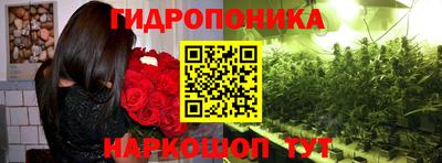 PSILOCYBIN Баксан