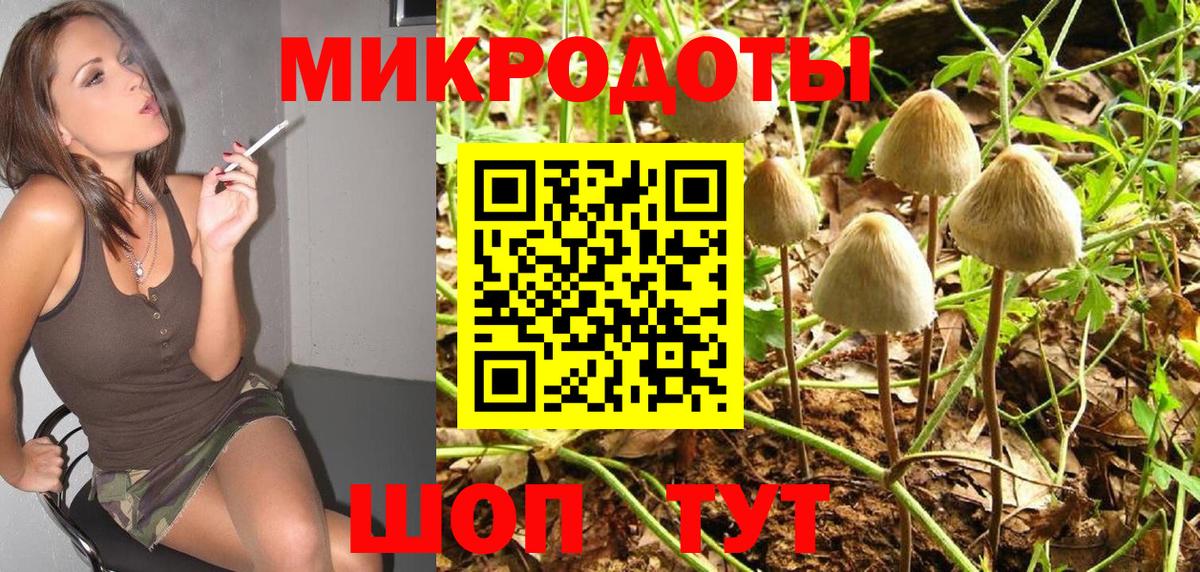 Псилоцибиновые грибы Cubensis  Галлюциногенные грибы Magic Shrooms  купить закладку  Ангарск  Вход с VPN 