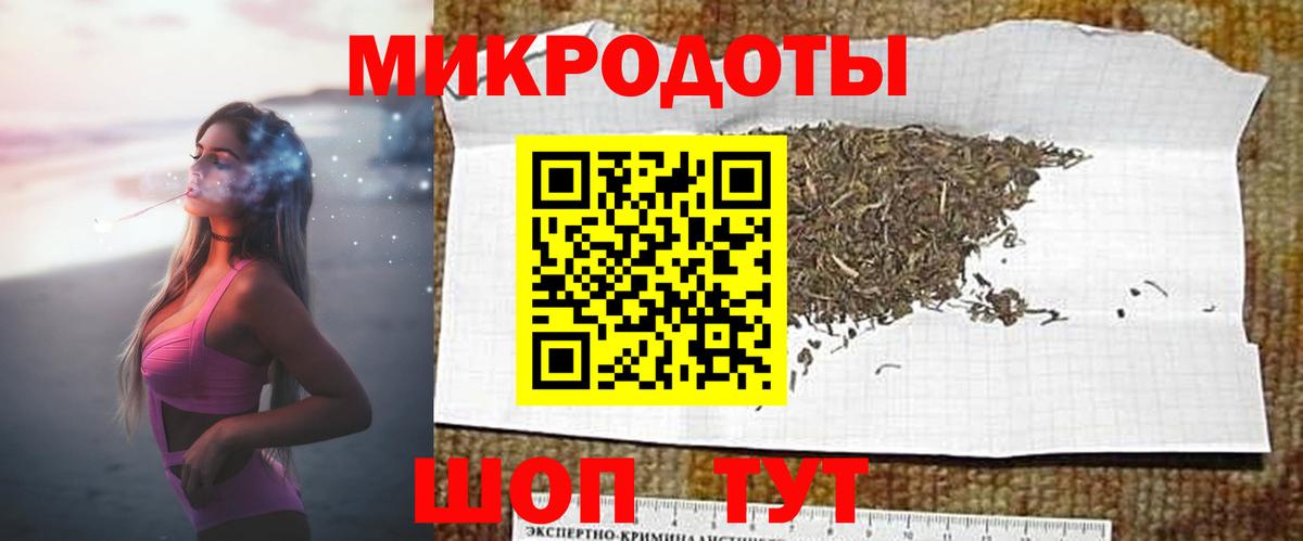 Псилоцибиновые грибы Psilocybe Ангарск